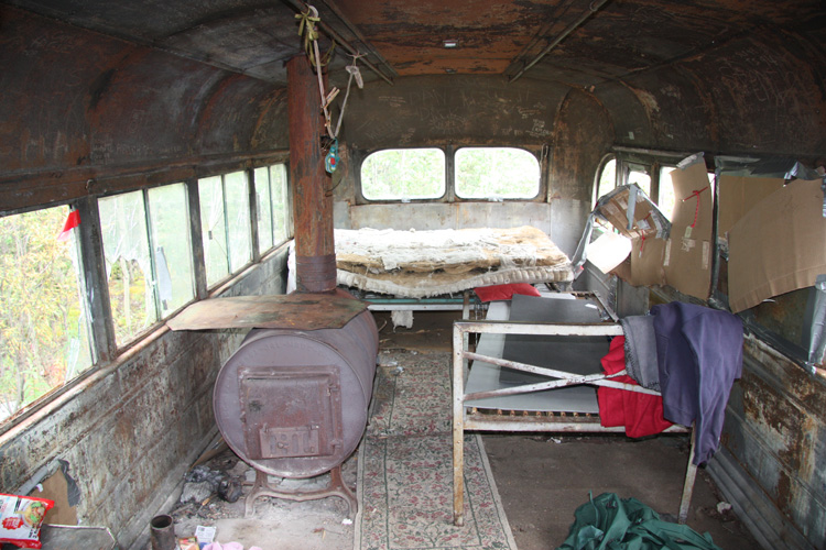 christopher mccandless diary