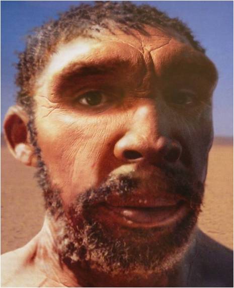 Rhodesiensis